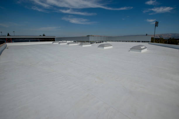 Best Chimney Flashing Repair  in Magnolia, NJ