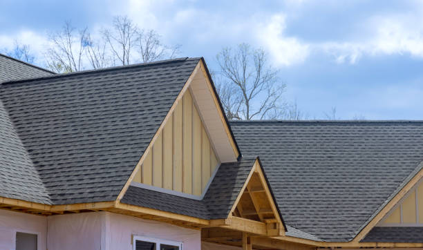 Best Roof Insulation Installation  in Magnolia, NJ